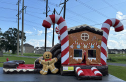 Gingerbread Combo