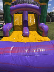 Mardi Gras Combo ( Wet or Dry ) IMG 5222 1781313893 Mardi Gras Combo ( Wet or Dry )